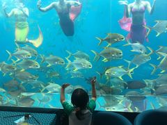 -瑞德姆美人鱼海底演艺主题餐厅(亚龙湾店)