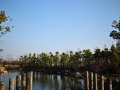 -春花秋色城市公园