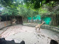 -长鹿旅游休博园