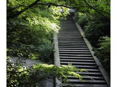 -虎跑公园