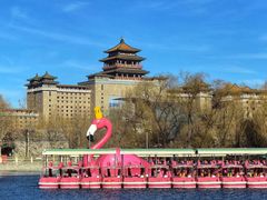 -莲花池公园