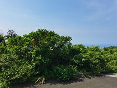 -海南铜鼓岭景区