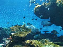 -鹿儿岛水族馆