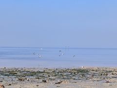 -北海海底世界