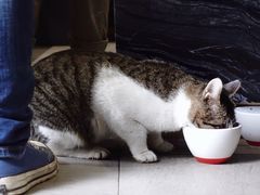 餐具摆设-UNI UNI(环亚凯瑟琳店)