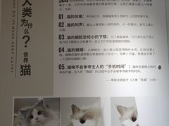 -全心全意动物诊疗中心医院(北苑店)