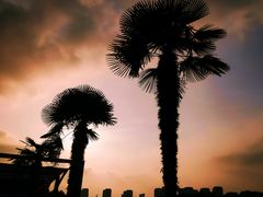 -白塘生态植物园