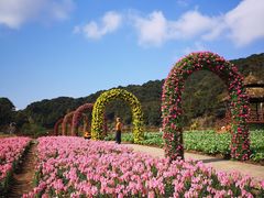 -广州市石门国家森林公园