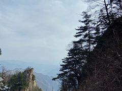 -王顺山国家森林公园