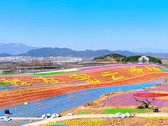 -密云玫瑰情园