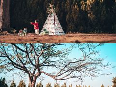-南沙蒲洲花园