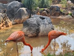 -昆明动物园