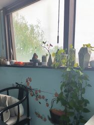 -斐尔国际皮肤管理中心