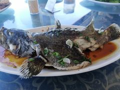 -七鲜渔港美食餐厅(巽寮湾海景店)