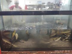 -肥鱼屯活鱼锅(惠工街店)