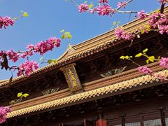 -苏州文庙(姑苏区)