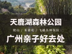 -天鹿湖森林公园