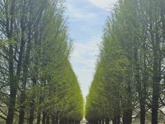 -嘉北郊野公园
