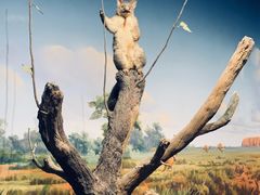 -陕西自然博物馆