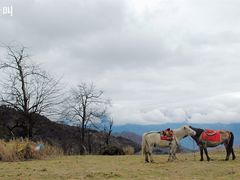 -硗碛藏寨·神木垒景区
