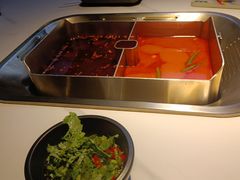 -九鼎轩脆毛肚火锅(南京东路店)