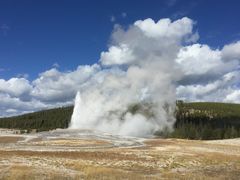 -老忠实间歇泉