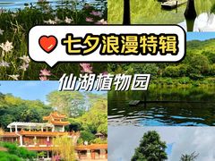 -深圳市中科院仙湖植物园