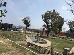 -天王浮山樱花园