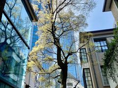-徐家汇源景区-衡山坊