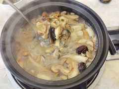 -蘑统田下·野生菌火锅