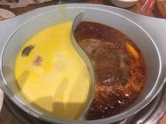 -青瓷火锅料理(西单大悦城店)