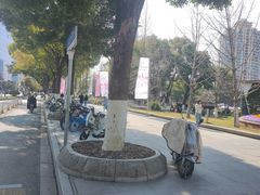 -西北湖绿化广场