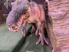 -陕西自然博物馆