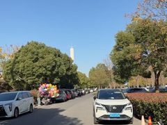 -顾村公园3号门停车场