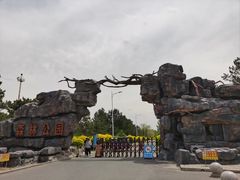 -通辽森林公园