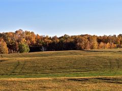 -塞罕坝国家级自然保护区