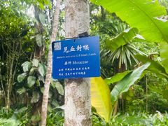 -中国科学院西双版纳热带植物园