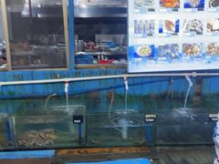 -蓝湾碧波·老字号·疍家非遗海上餐厅