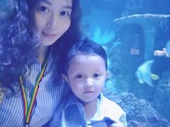 -华夏文旅海洋公园