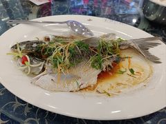 -西江河鲜·趣苑酒楼(鼎湖店)