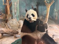 -海南热带野生动植物园