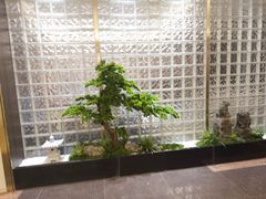 -新溢香国际酒店-中餐厅