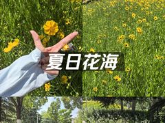 -南京外国语学校(仙林分校西区)