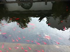-苏州文旅花间堂·探花府酒店