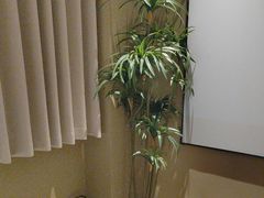 -若水云栖·足疗·按摩·SPA(城阳万达广场店)