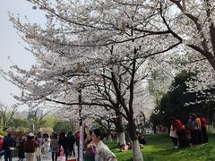 -堤角公园