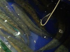 -德克士(长安百货店)