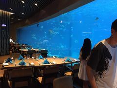 -海棠湾洲际-涛·海底餐厅·美人鱼·自助餐·海底隧道
