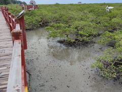 -北海金海湾红树林生态旅游区