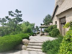 -悦海公园